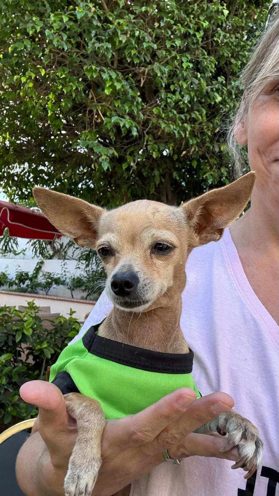 Cece 12-15-25 A.jpeg