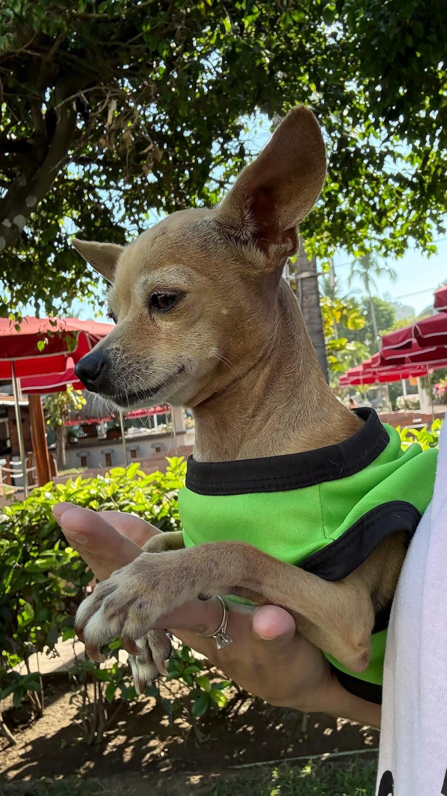 Cece 12-15-25 B.jpeg