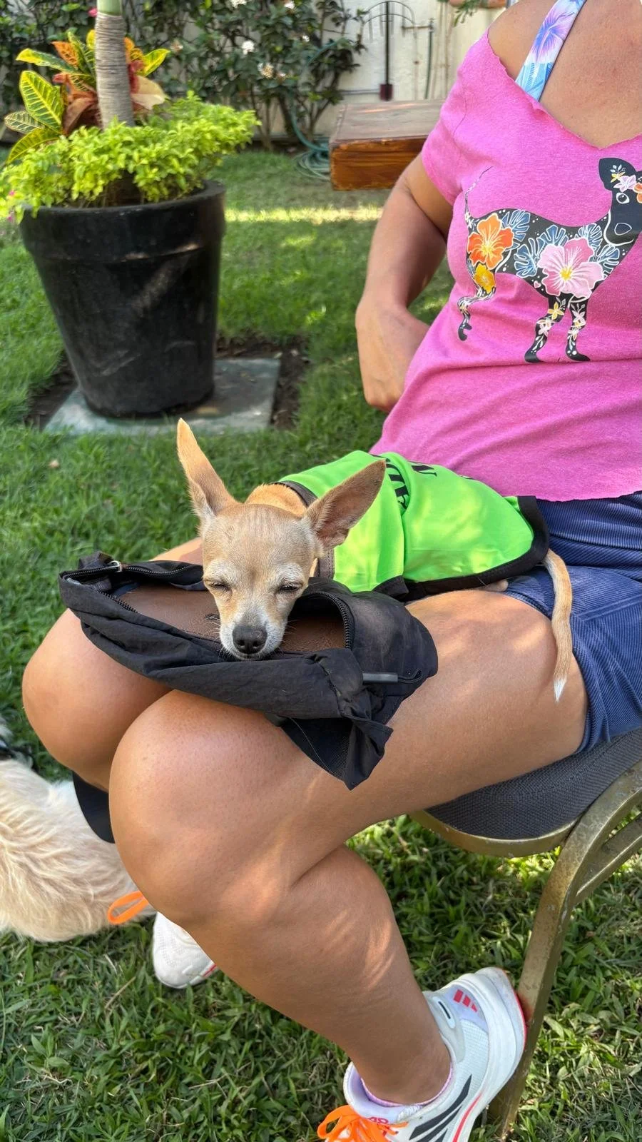 Cece 12-15-25 E.jpeg