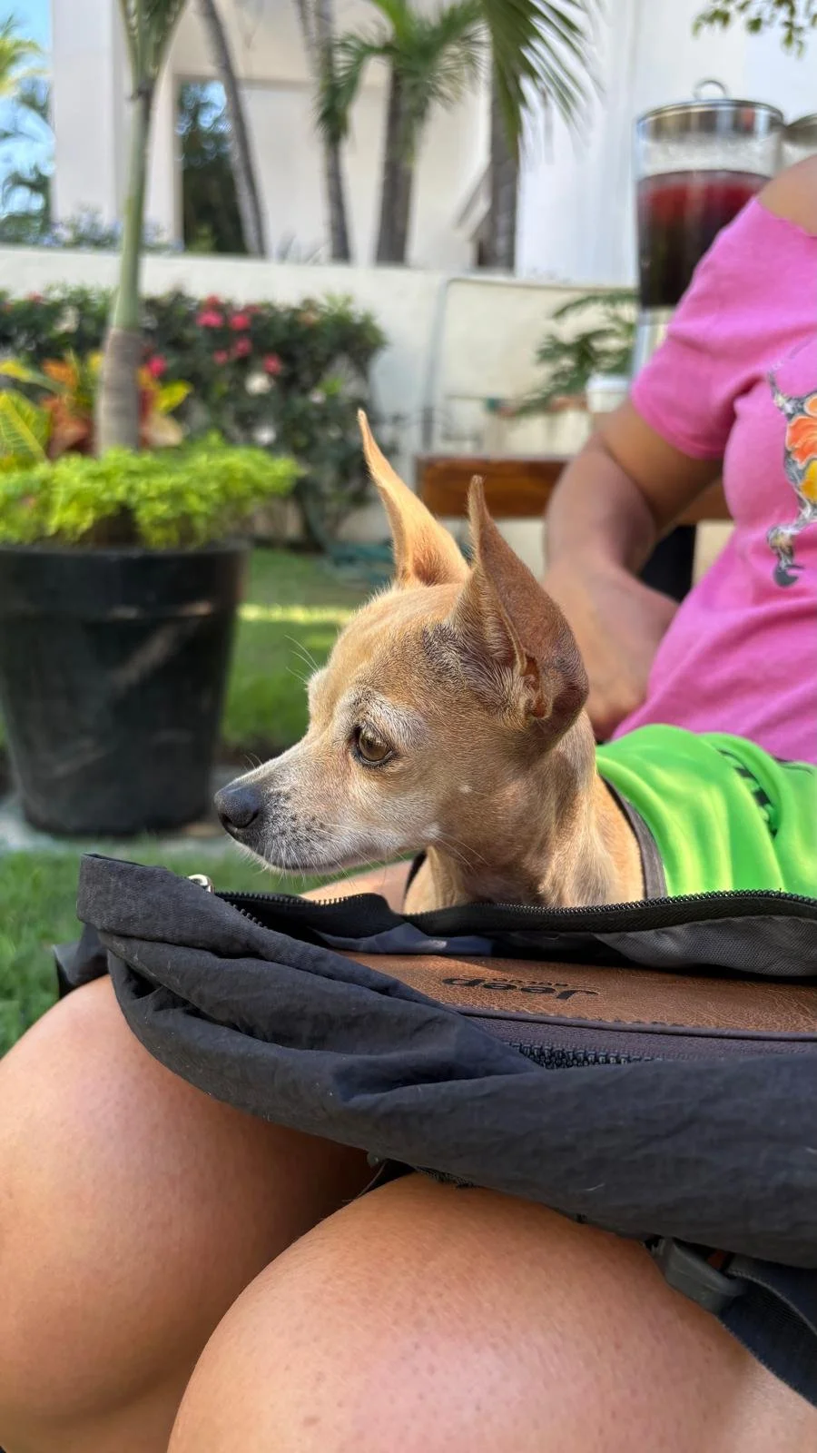 Cece 12-15-25 F.jpeg