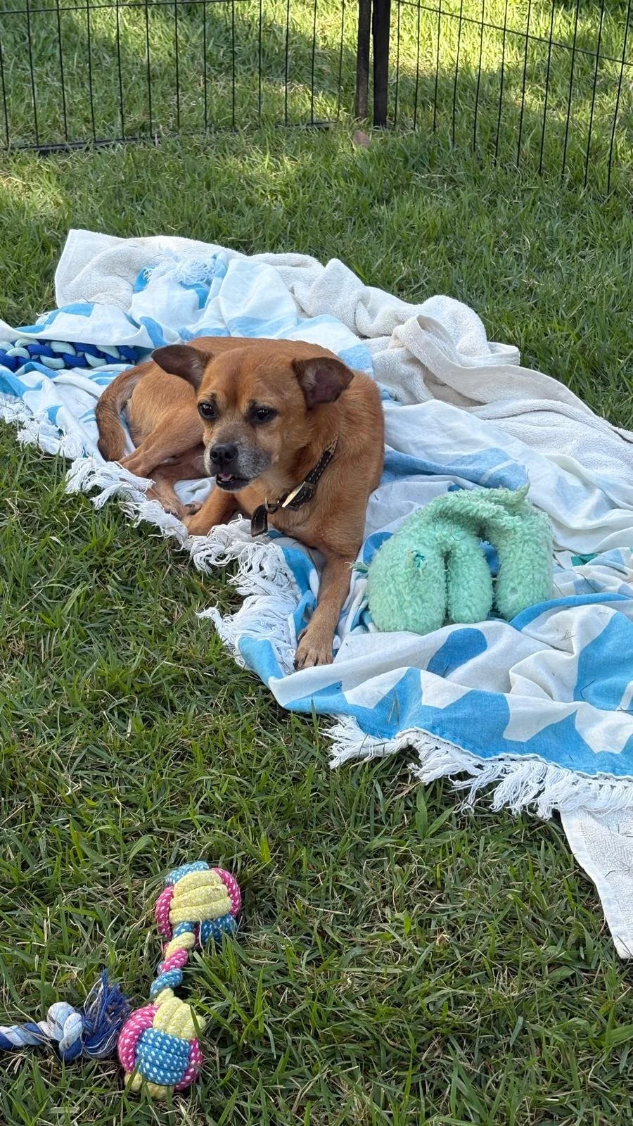 Chavo 12-15-25 D.jpeg