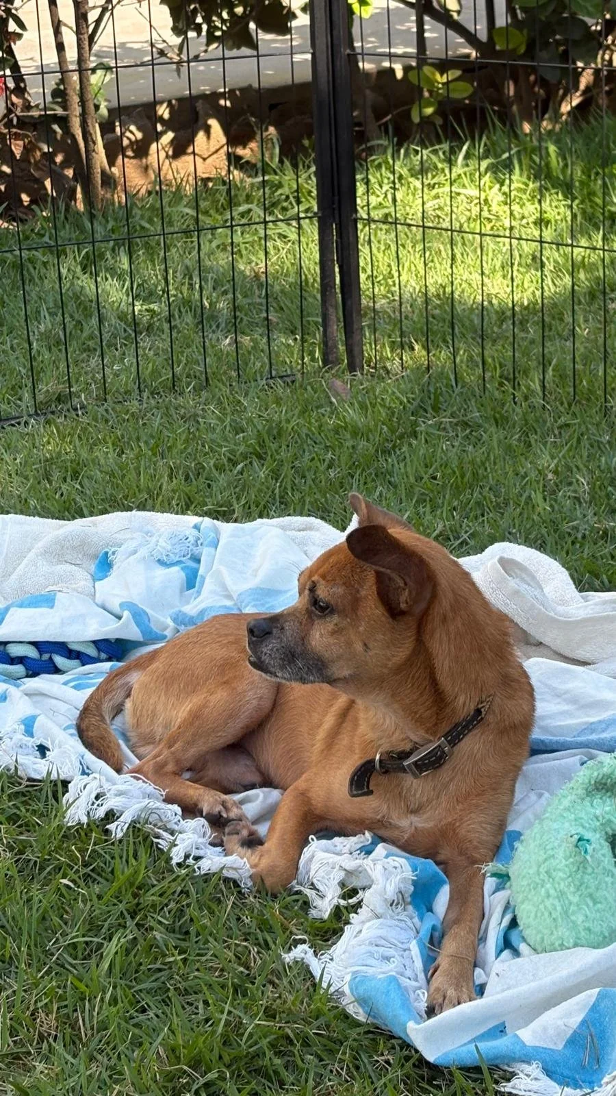 chavo 12-15-25 F.jpeg