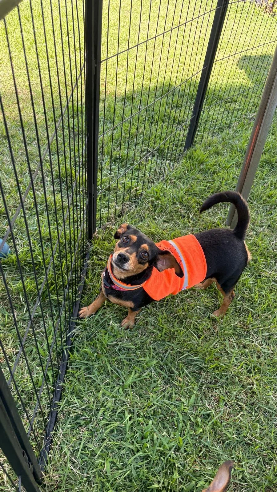 Princesa 12-15-25 D.jpeg