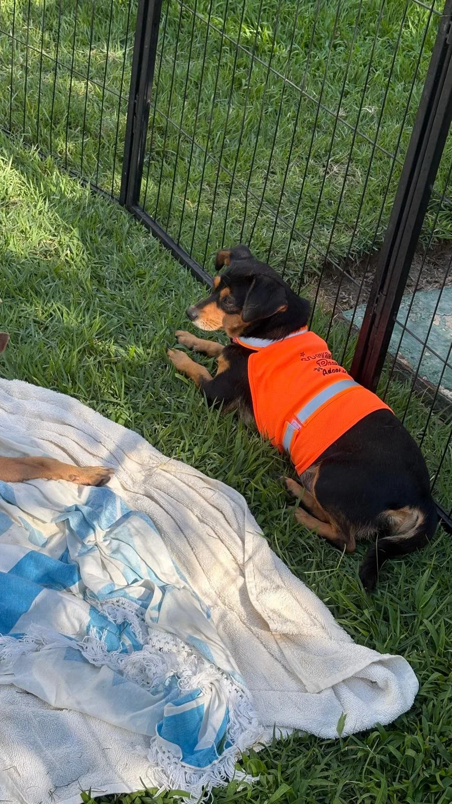 Princesa 12-15-25 B.jpeg