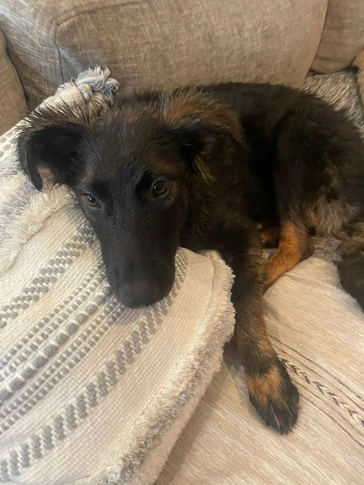 WhatsApp Image 2025-12-16 at 11.40.29 AM (1).jpeg