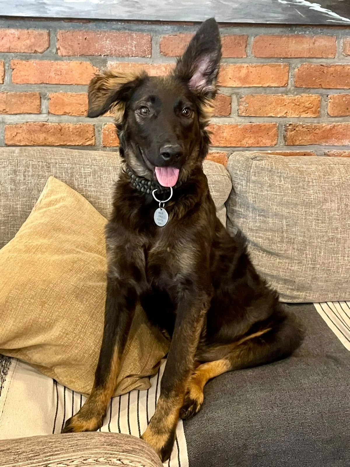 WhatsApp Image 2025-12-16 at 11.40.29 AM.jpeg