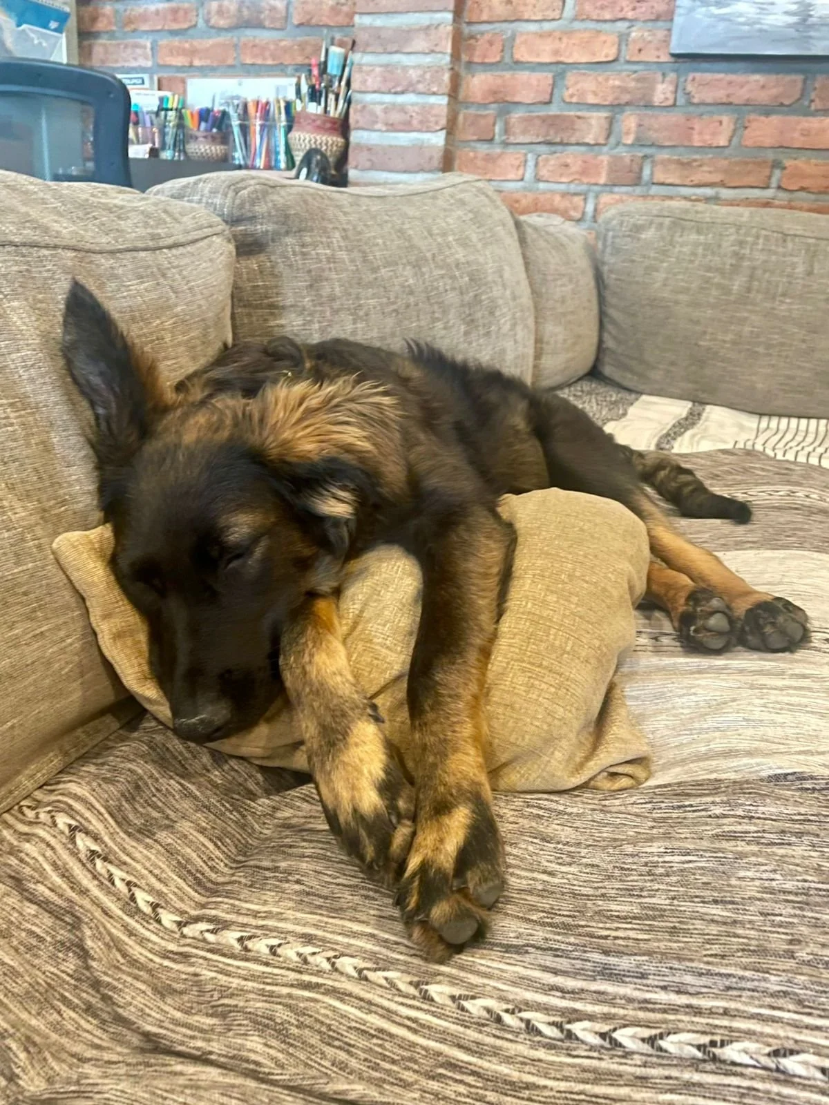 Vito 12-19-2025.jpeg