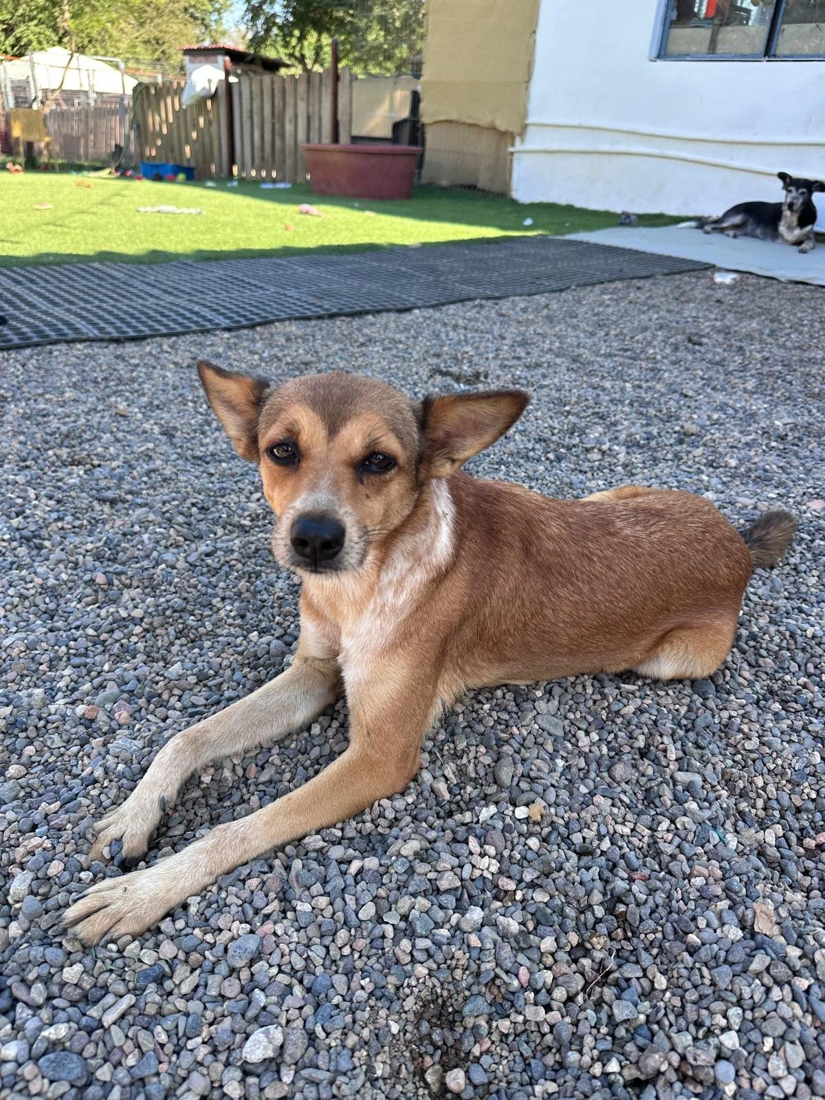 Fergie 12-19-25 A.jpeg