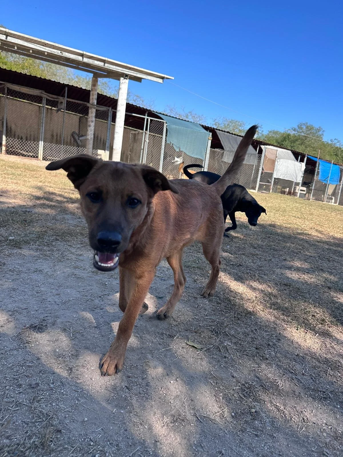 Terron 12-19-25 A.jpeg