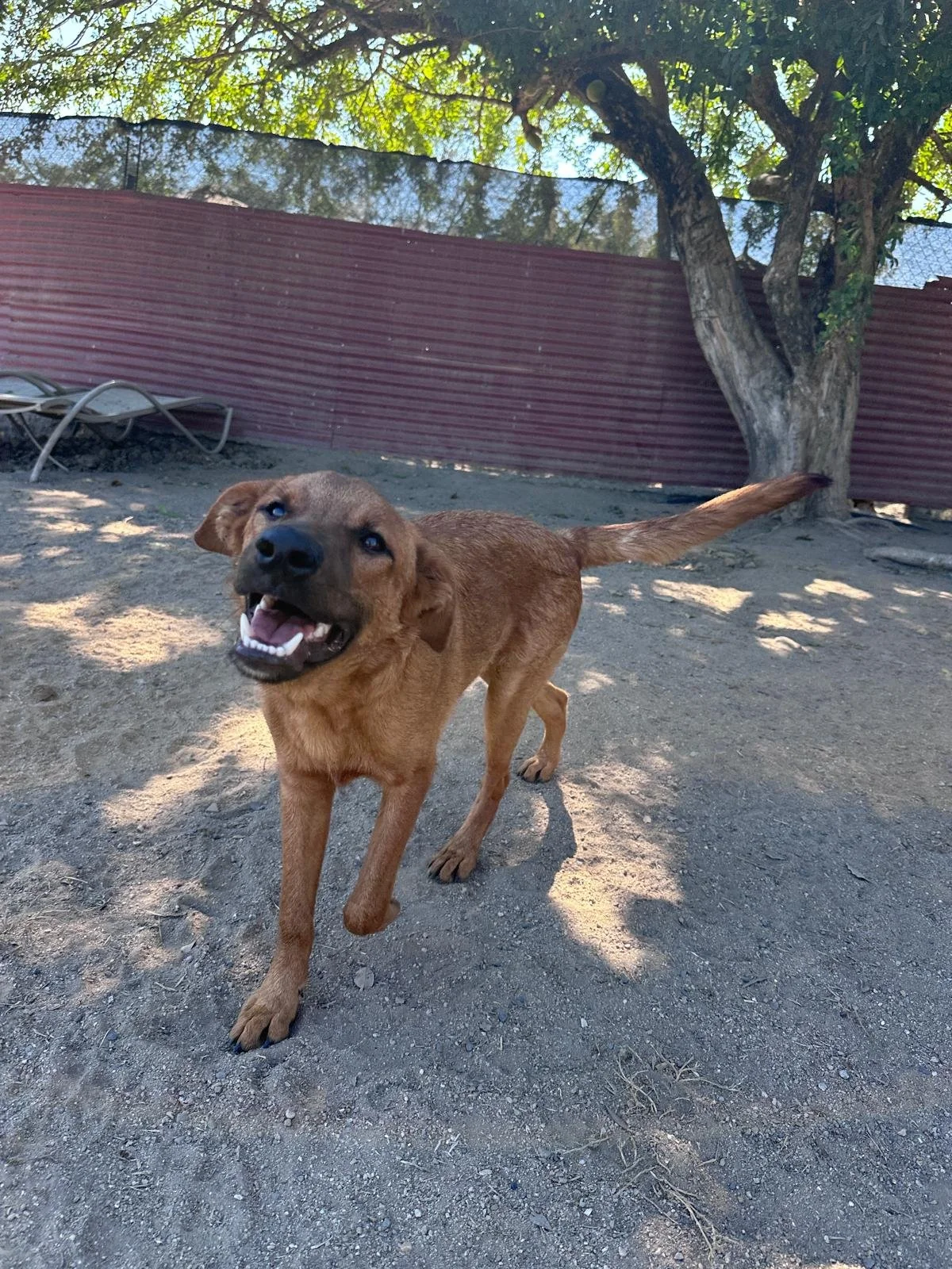 Terron 12-19-25 C.jpeg