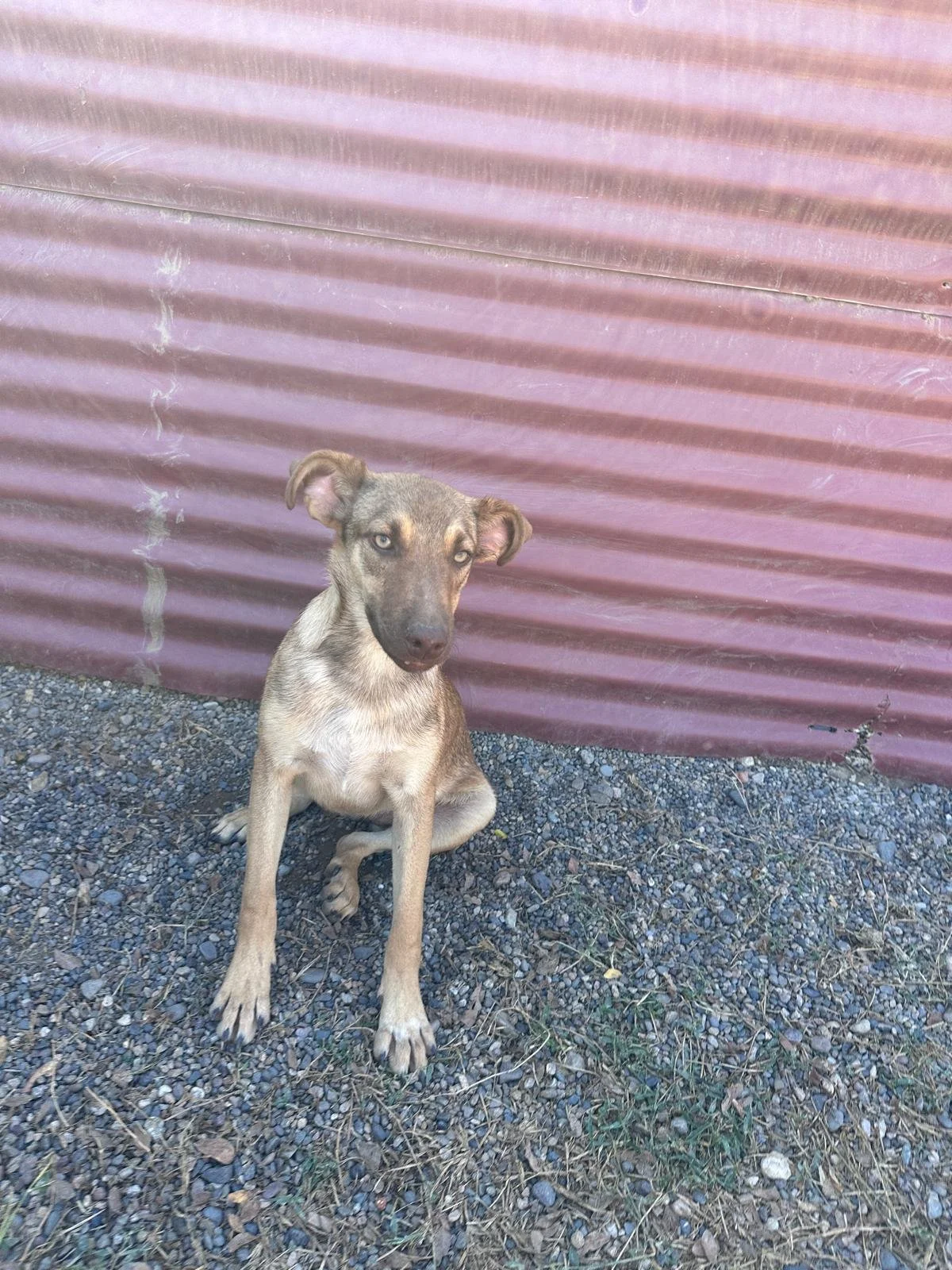 Verona 12-19.25 C.jpeg