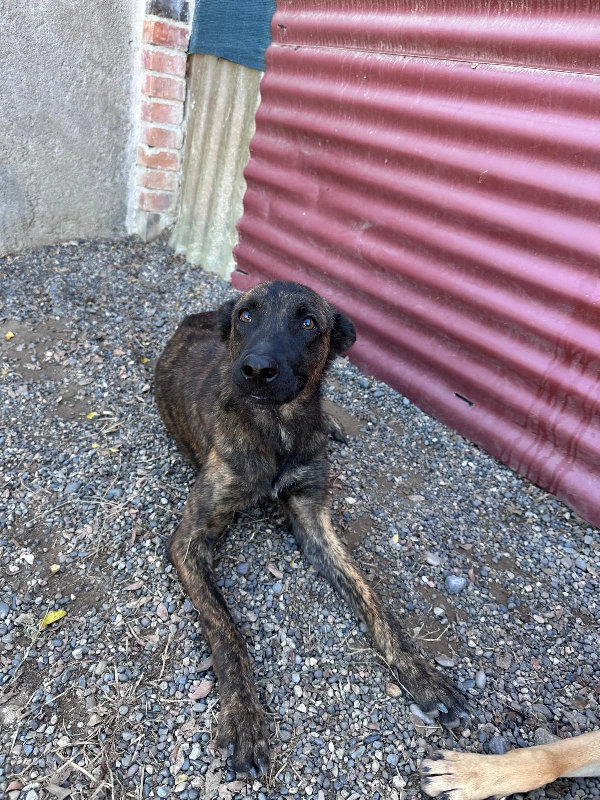 Esme 12-19-25 B.jpeg