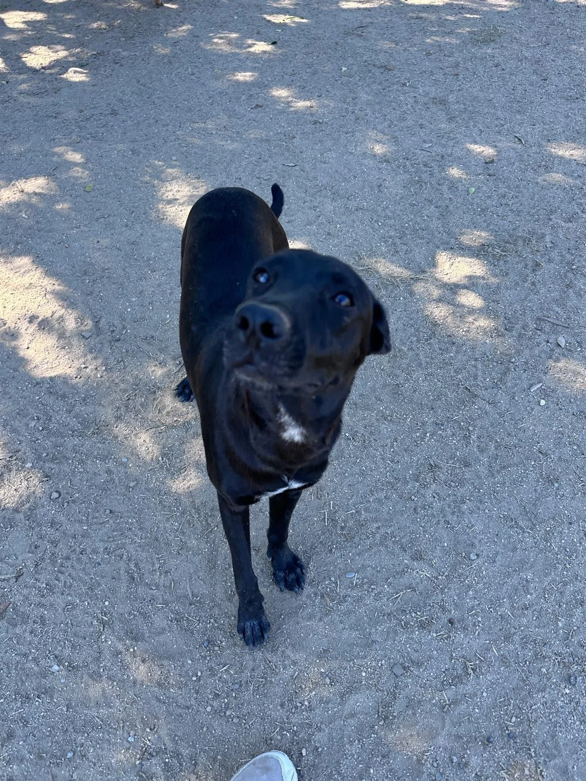 Popsicle 12-19-25 B.jpeg