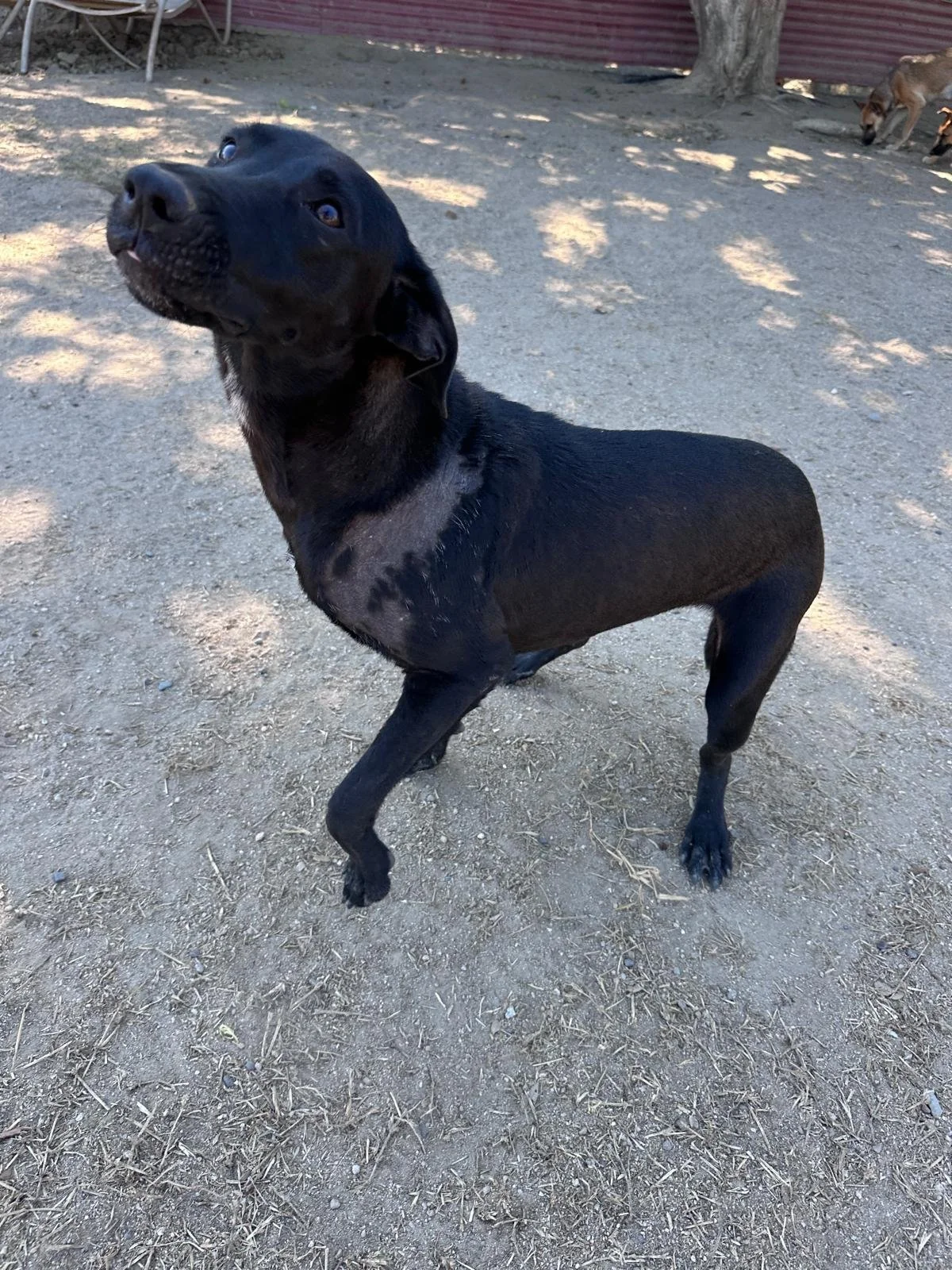 Popsicle 12-19-25 D.jpeg