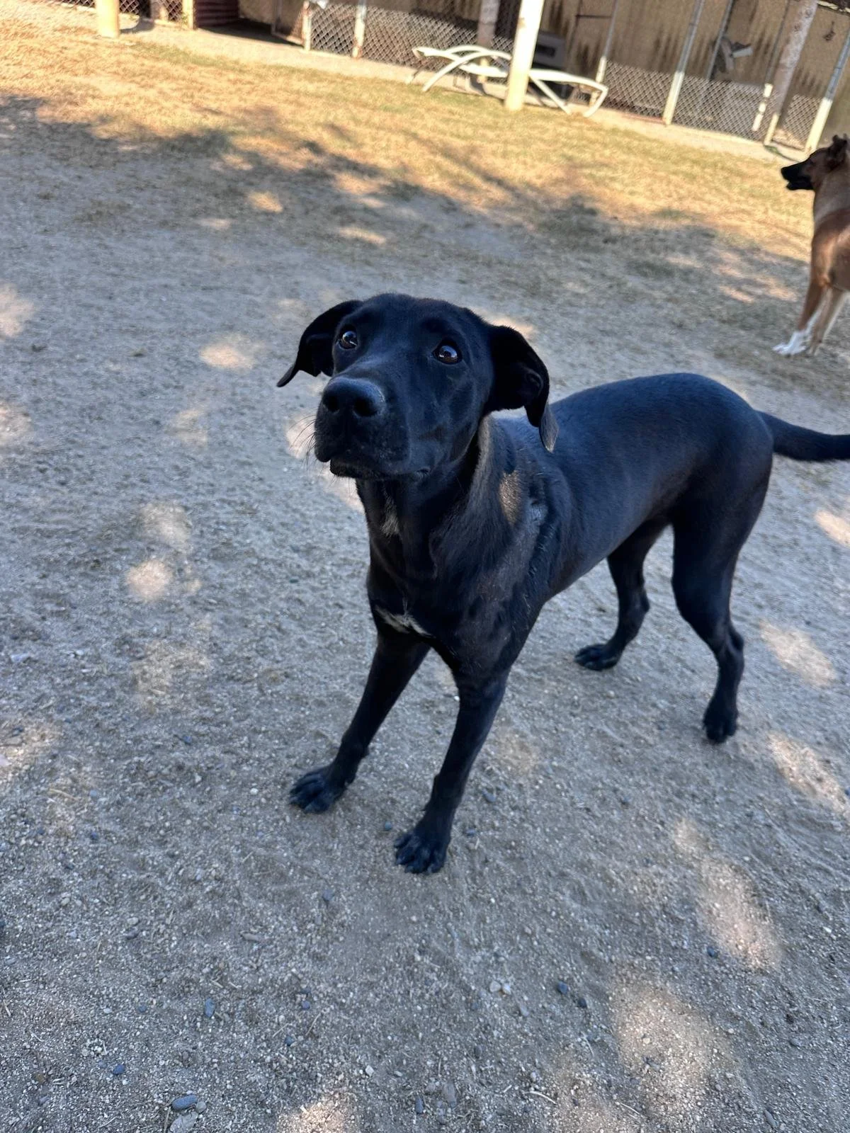 Popsicle 12-19-25 E.jpeg