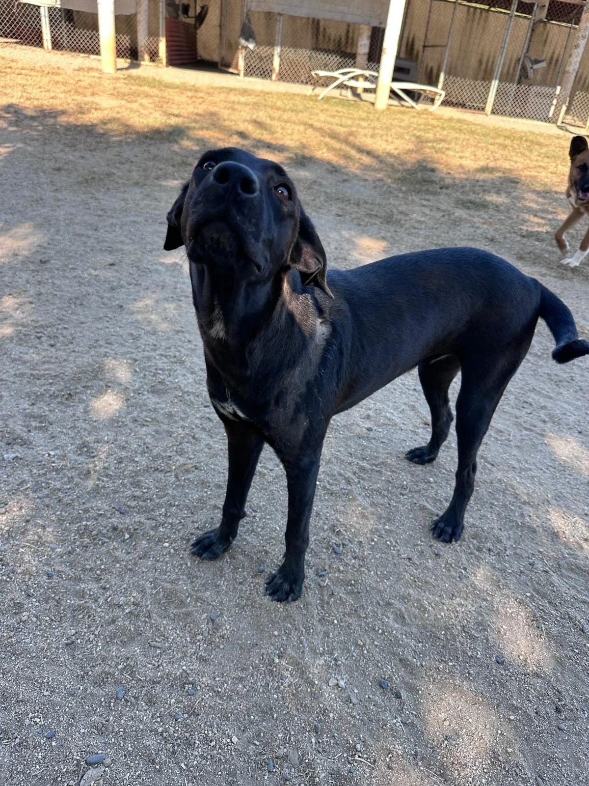 Popsicle 12-19-25 F.jpeg