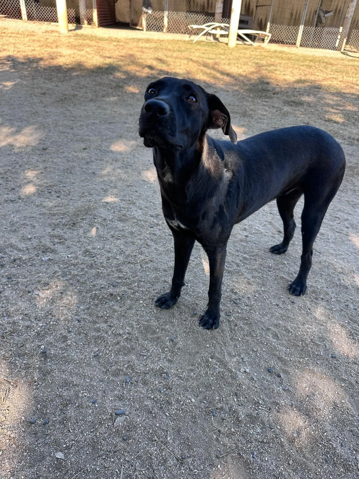 Popsicle 12-19-25 G.jpeg