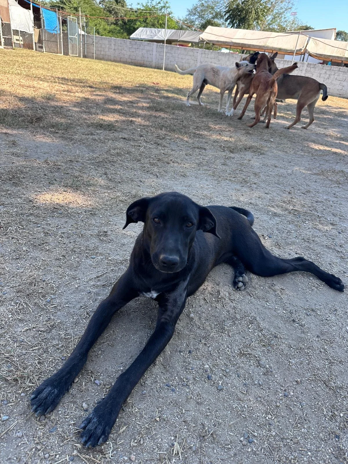 WhatsApp Image 2025-12-18 at 17.12.28.jpeg