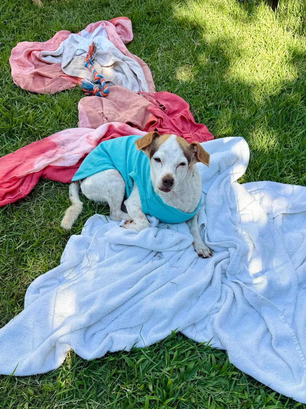 Nikito 12-22-25 J.jpeg