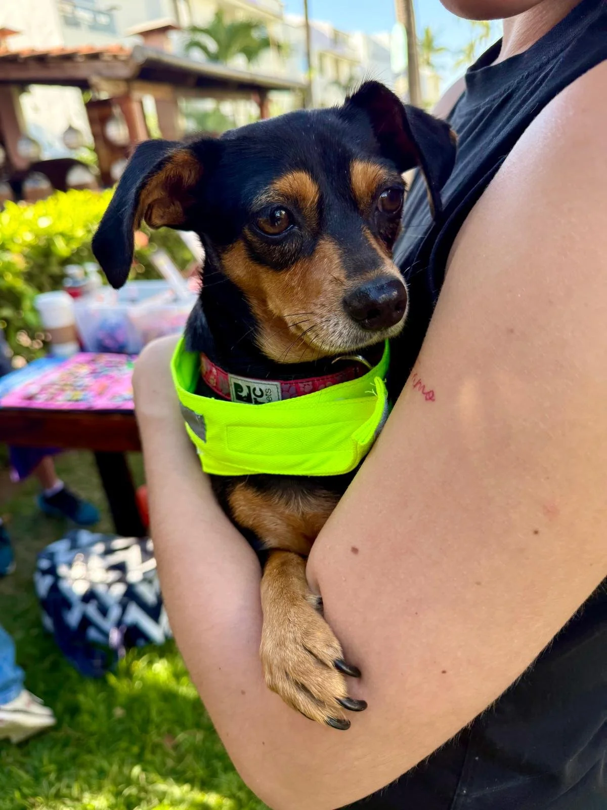 Princesa 12-22-25 B.jpeg