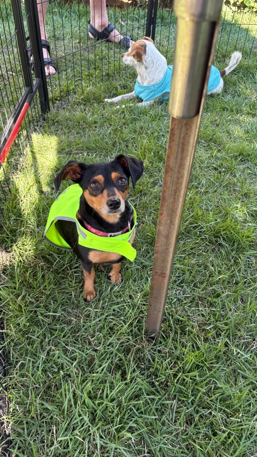 Princesa 12-22-25 C.jpeg