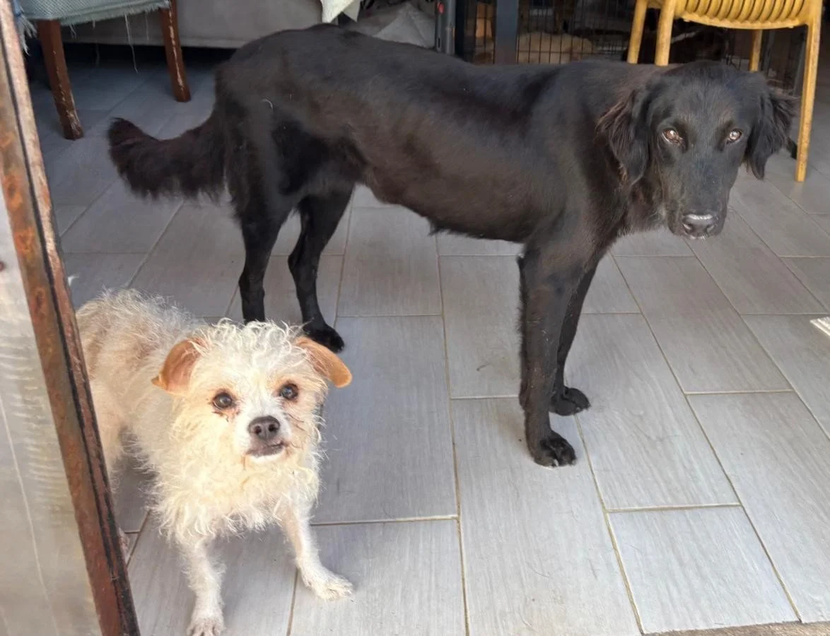 WhatsApp Image 2025-12-27 at 11.11.44 AM.jpeg