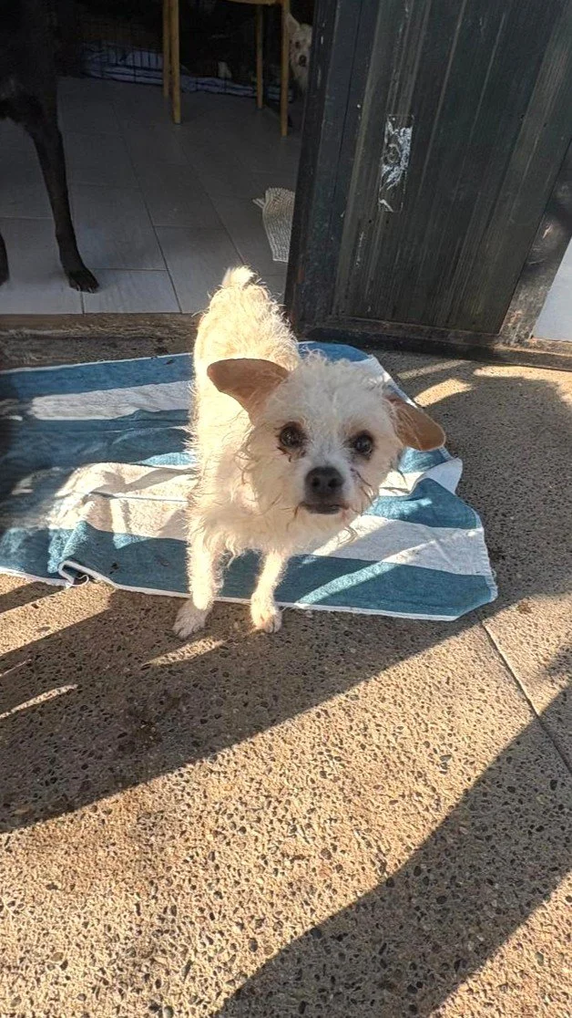 WhatsApp Image 2025-12-27 at 11.11.44 AM (3).jpeg