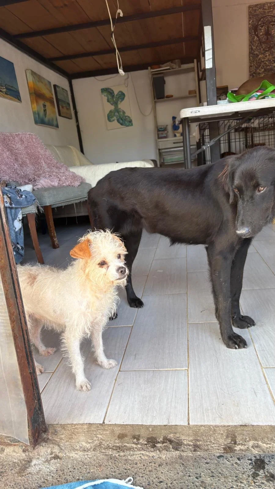 WhatsApp Image 2025-12-27 at 11.11.44 AM (1).jpeg