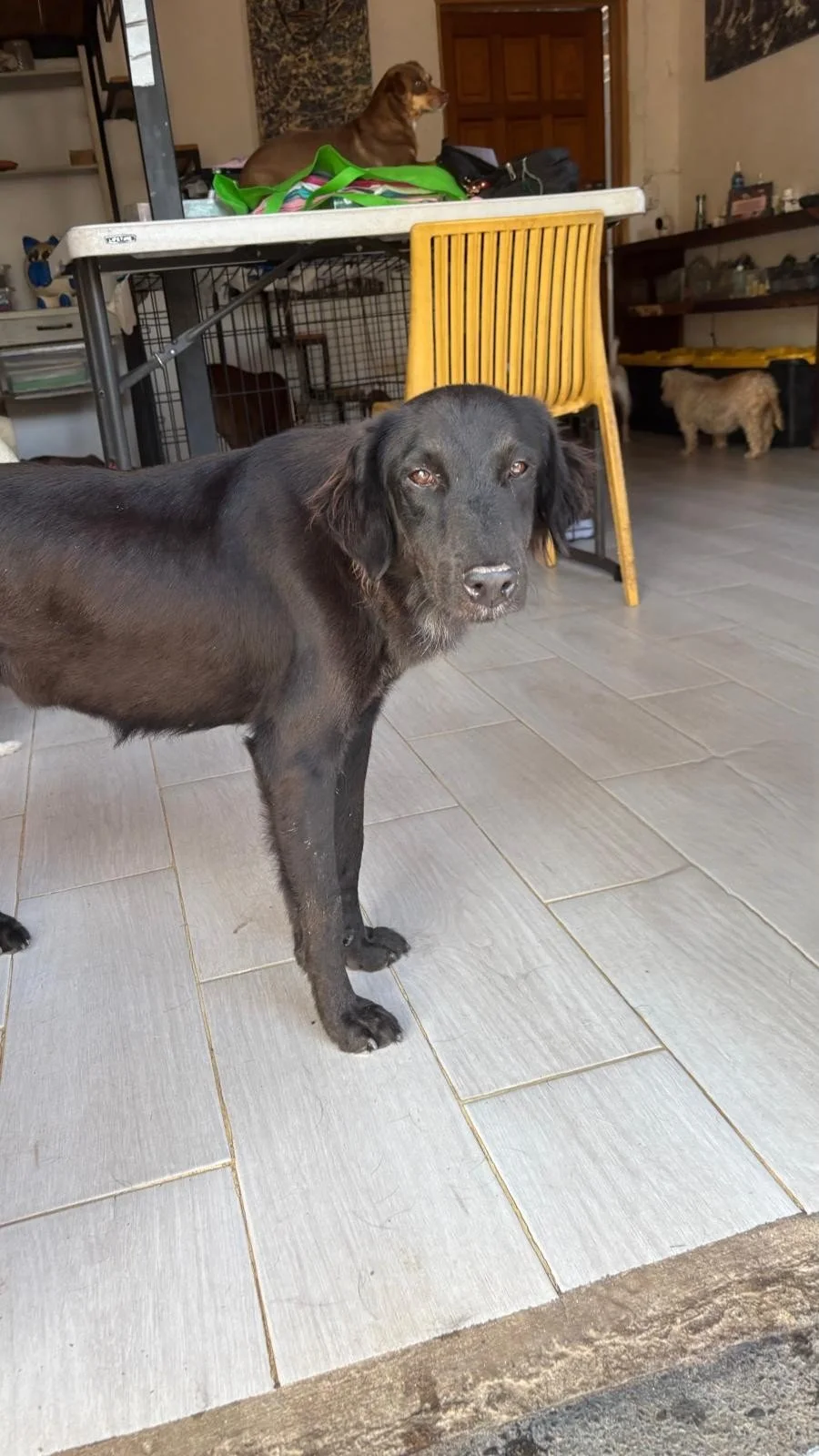 WhatsApp Image 2025-12-27 at 11.11.44 AM (2).jpeg