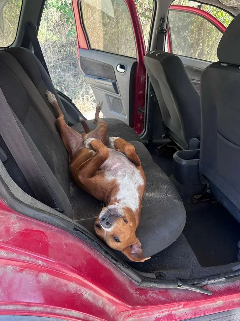 WhatsApp Image 2025-12-27 at 12.24.16 PM (1).jpeg