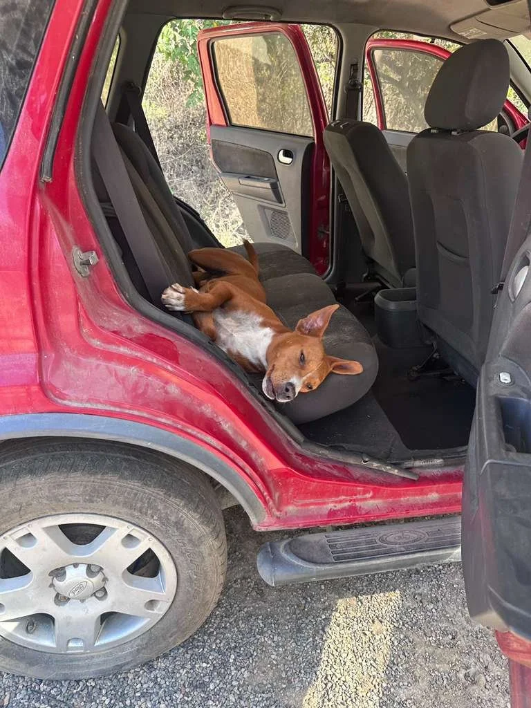 WhatsApp Image 2025-12-27 at 12.24.15 PM.jpeg