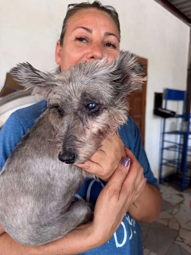 WhatsApp Image 2025-12-28 at 4.50.40 PM.jpeg