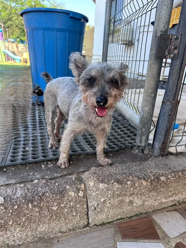 WhatsApp Image 2025-12-28 at 4.50.42 PM.jpeg