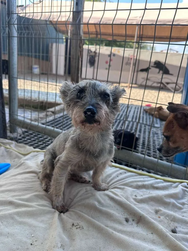 WhatsApp Image 2025-12-28 at 4.50.41 PM (2).jpeg