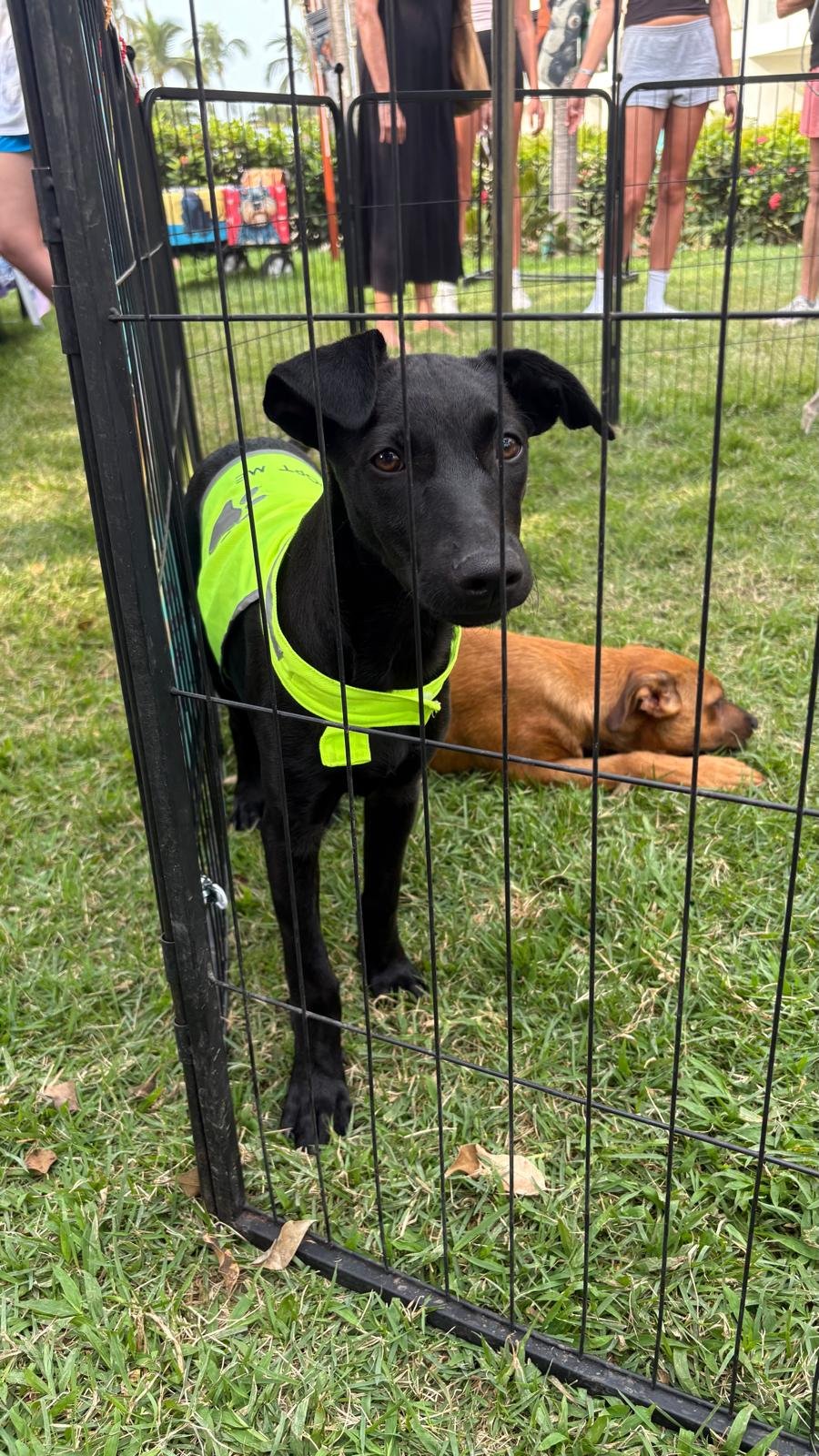 WhatsApp Image 2025-12-29 at 11.56.32 AM (1).jpeg