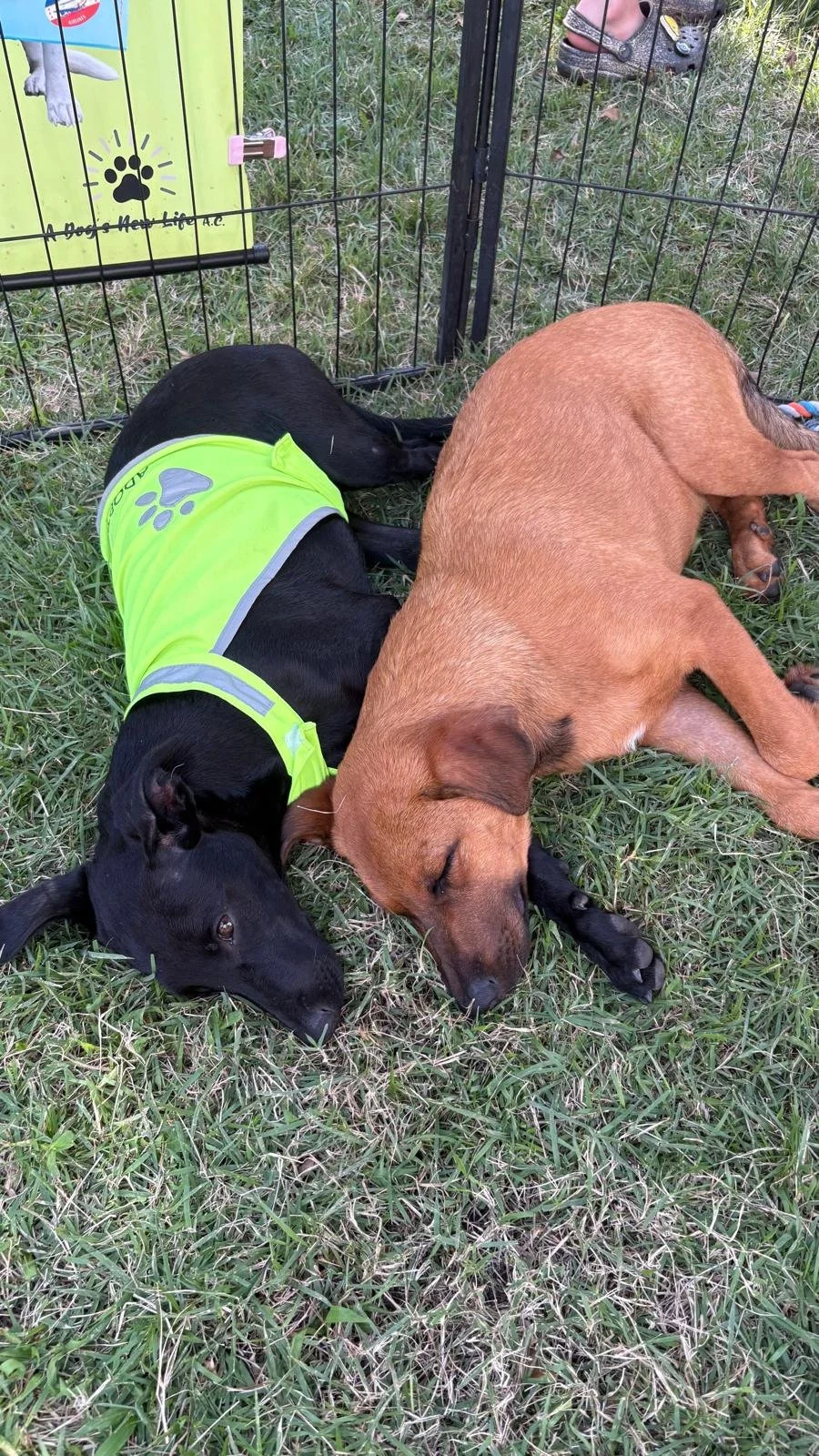 WhatsApp Image 2025-12-29 at 11.56.33 AM (3).jpeg