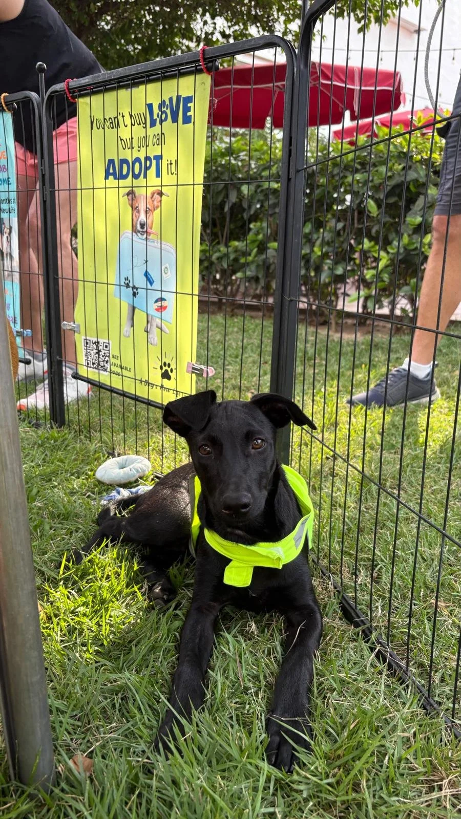 WhatsApp Image 2025-12-29 at 11.56.33 AM.jpeg