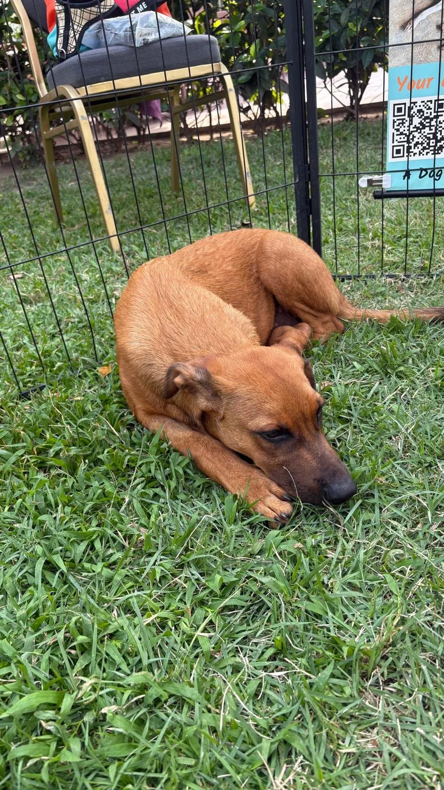 WhatsApp Image 2025-12-29 at 11.56.33 AM (5).jpeg