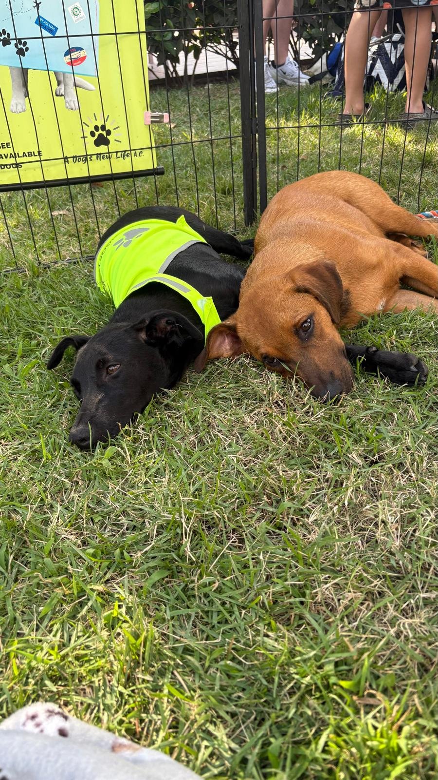 WhatsApp Image 2025-12-29 at 11.56.33 AM (4).jpeg