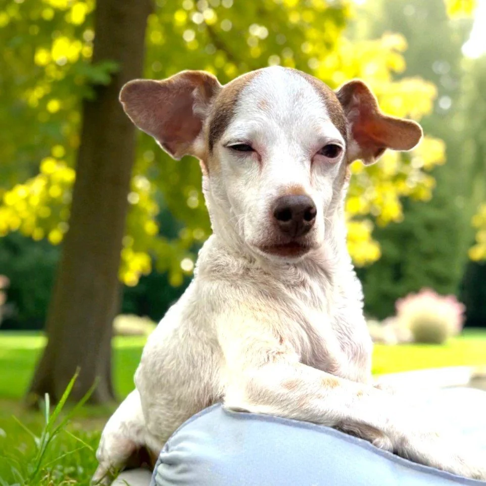 WhatsApp Image 2025-12-29 at 11.57.18 AM (1) (1).jpg