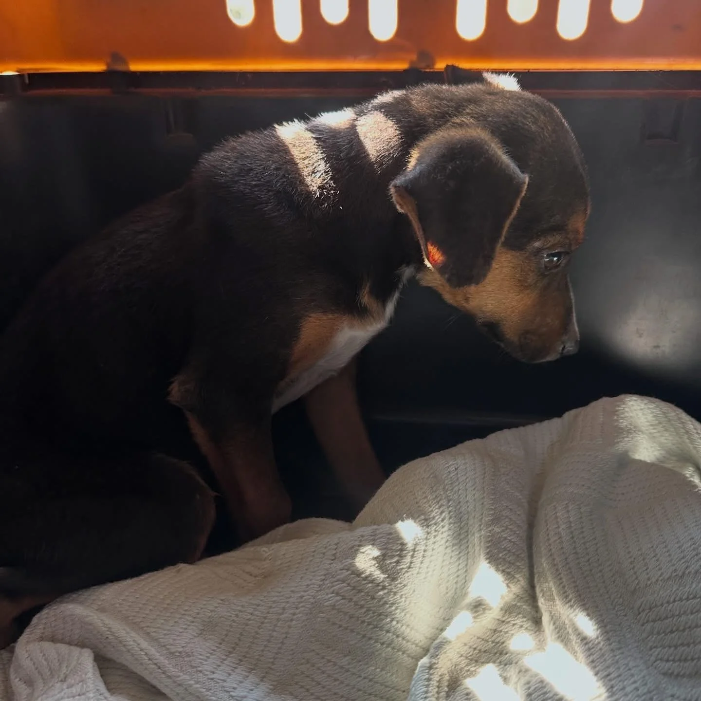 WhatsApp Image 2025-12-31 at 9.36.20 AM.jpeg