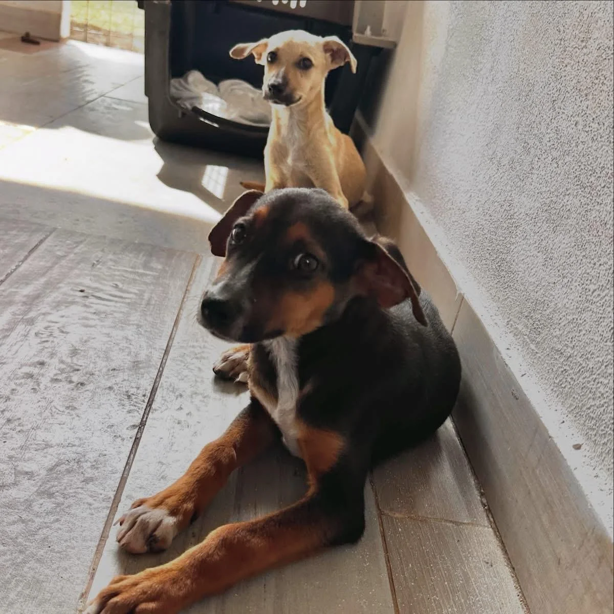 WhatsApp Image 2025-12-31 at 9.36.21 AM.jpeg