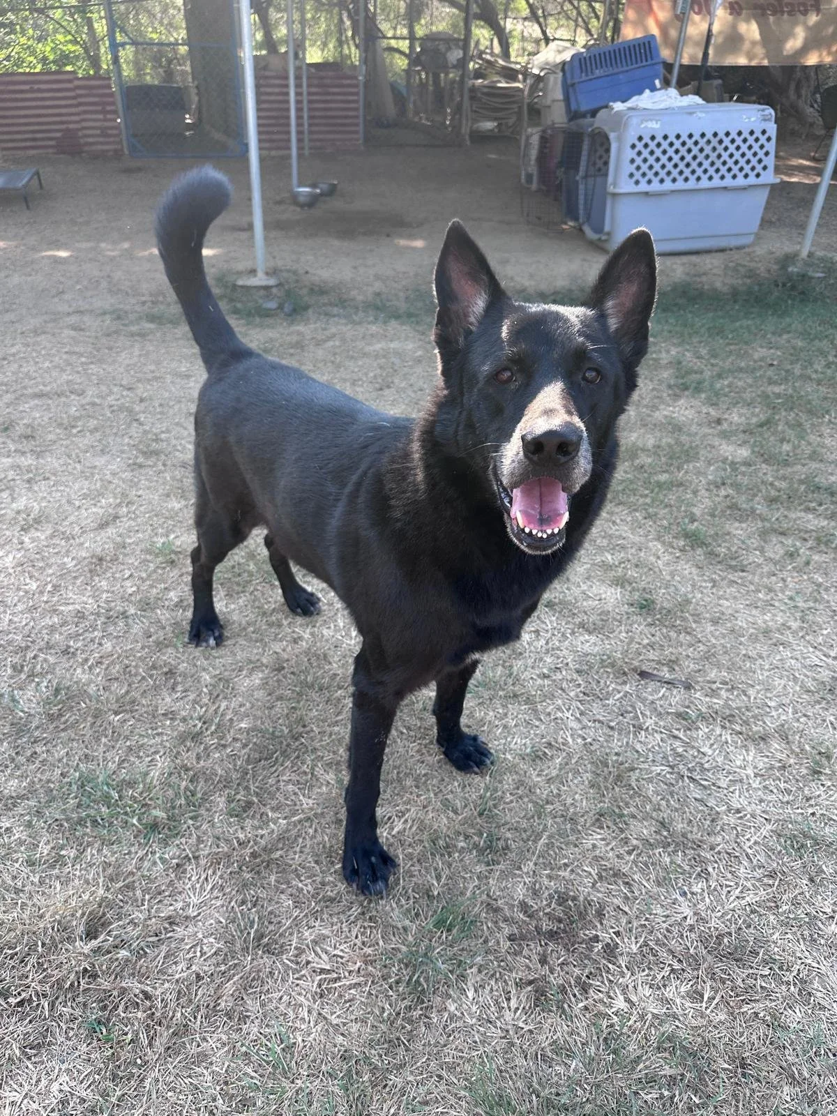 Barkley 12-31-25 A.jpeg