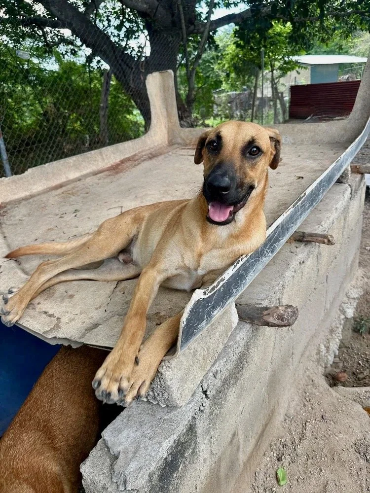 Aquarius 12-28-25 D.jpeg