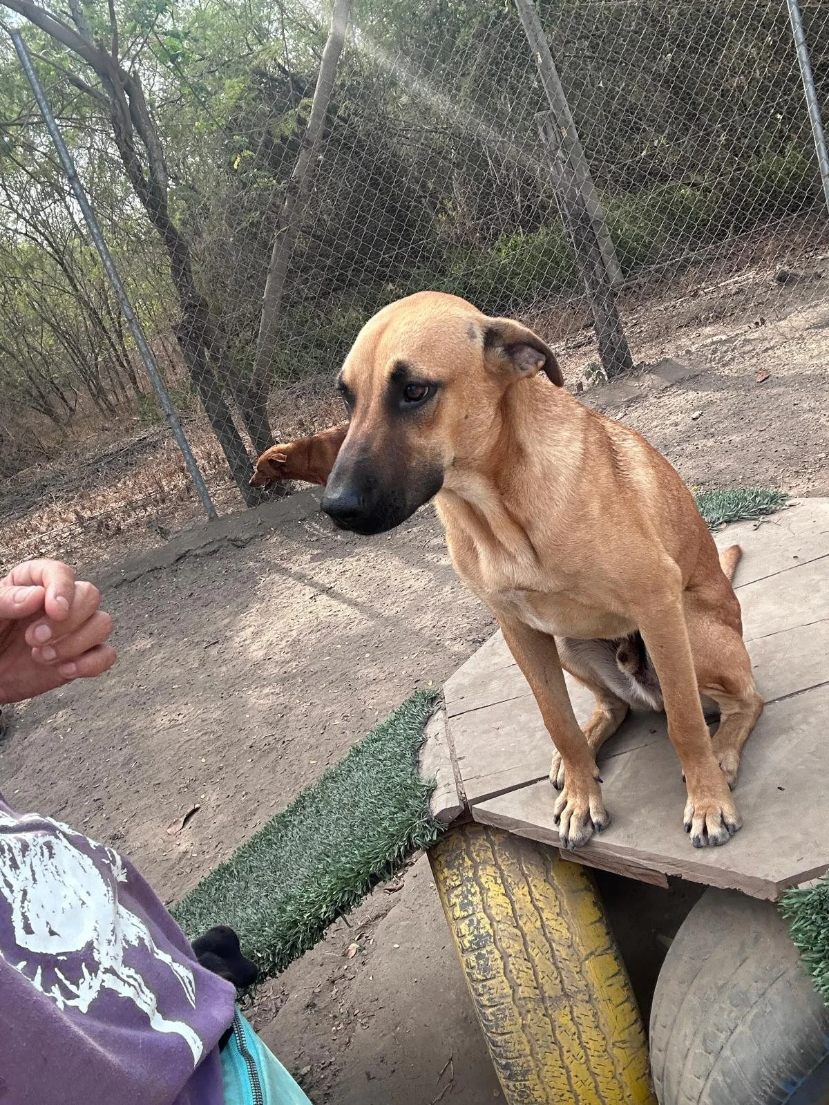 Aquarius 12-31-25 A.jpeg