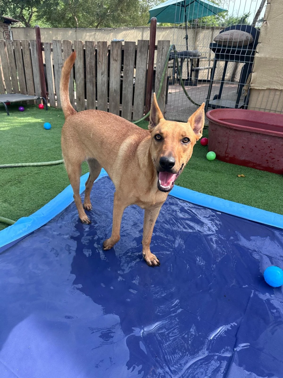 Aries 12-31-25 A.jpeg