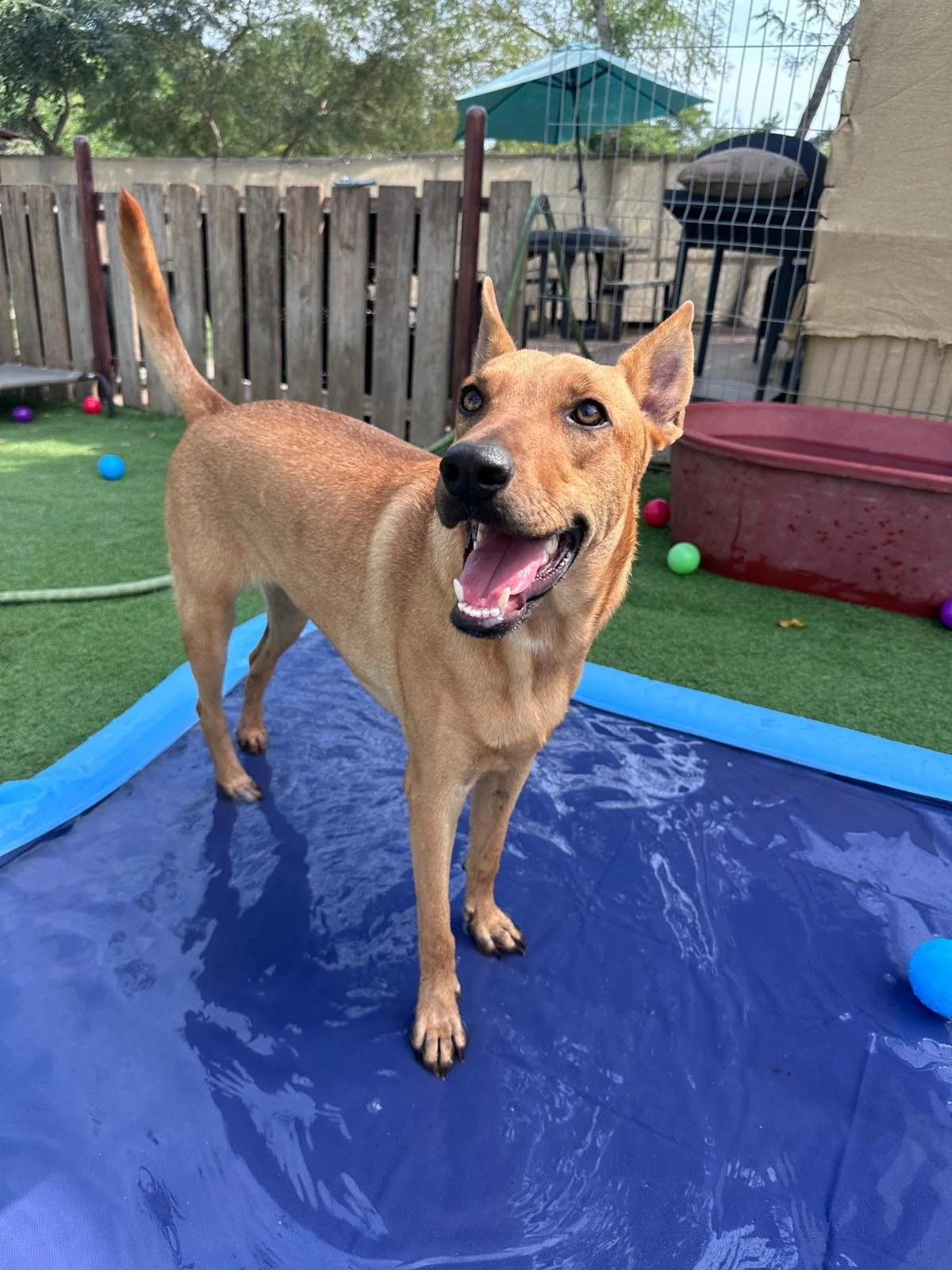 Aries 12-31-25 B.jpeg