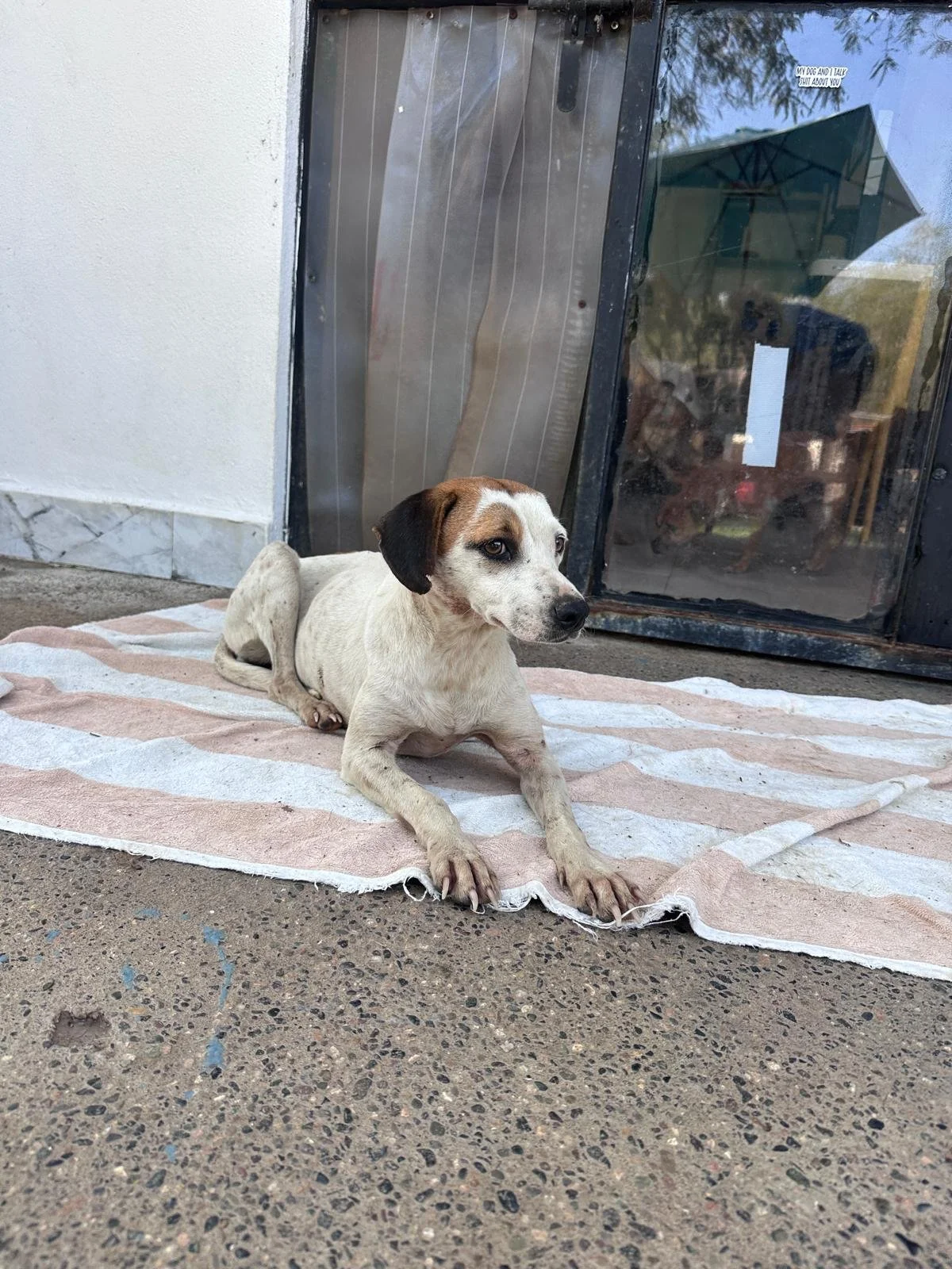 Celeste 12-31-25 E.jpeg