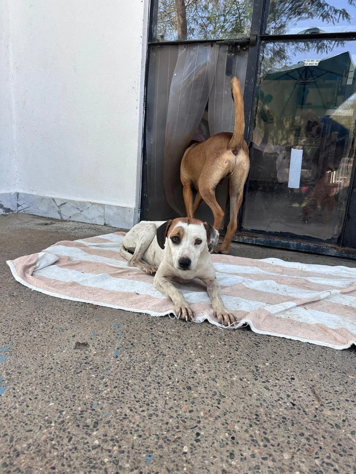 Celeste 12-31-25 D.jpeg