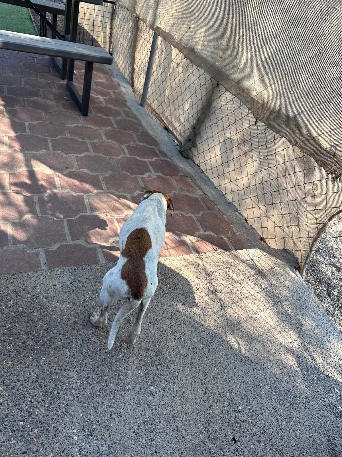 Celeste 12-31-25 C.jpeg